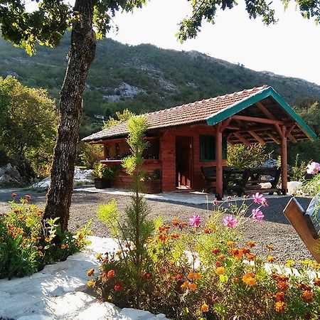 Camp Oaza,Lipa Hotel Cetinje Bagian luar foto