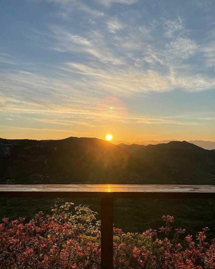 Camp Oaza,Lipa Hotel Cetinje Bagian luar foto