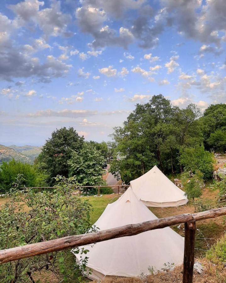 Camp Oaza,Lipa Hotel Cetinje Bagian luar foto
