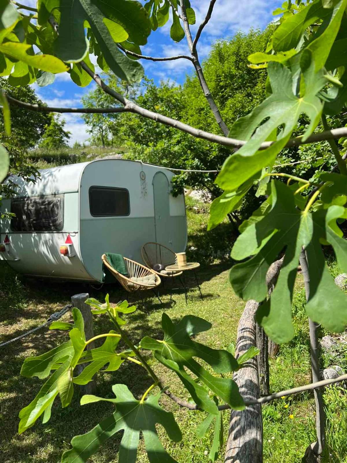 Camp Oaza,Lipa Hotel Cetinje Bagian luar foto
